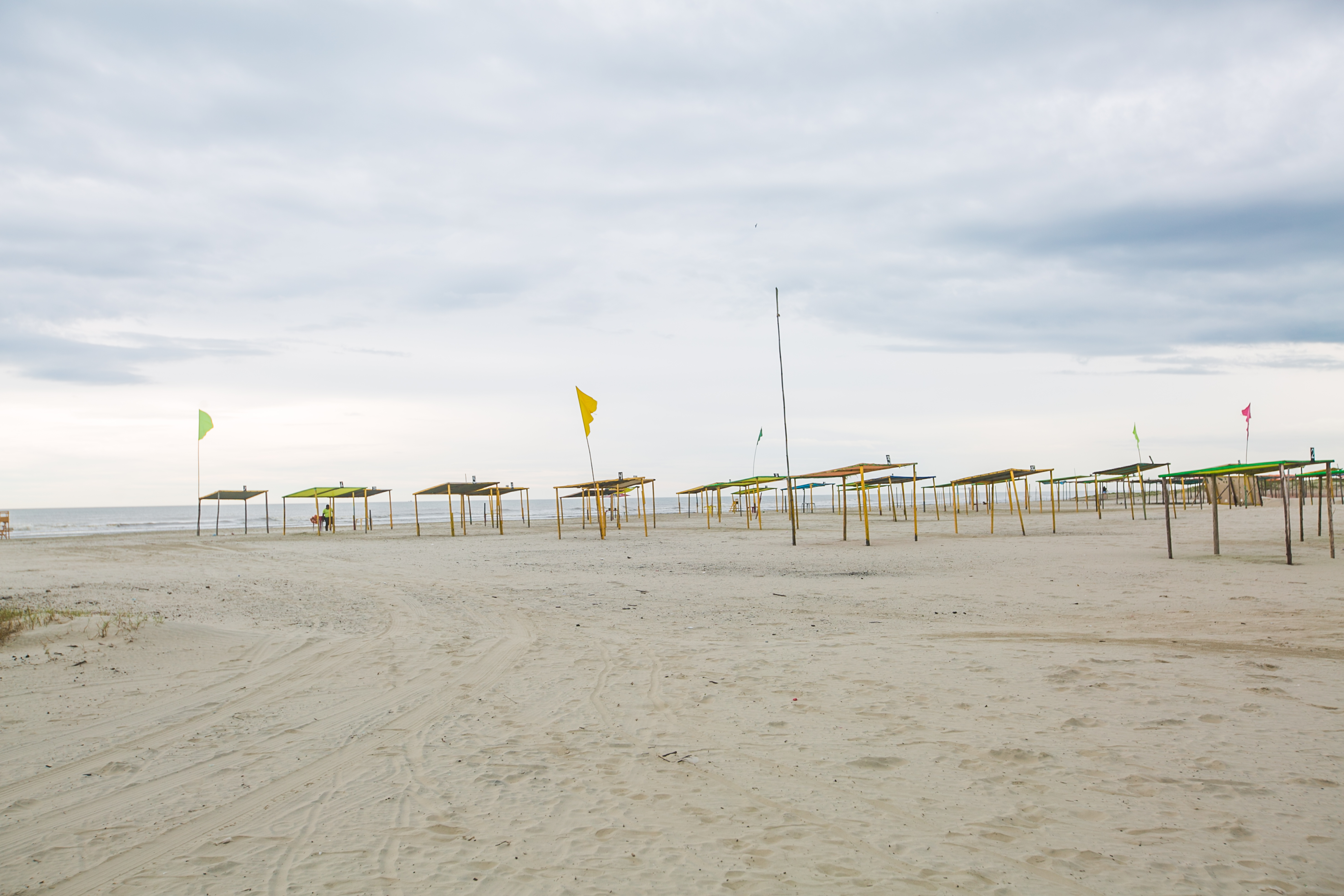 Paisagem natural de Iguape