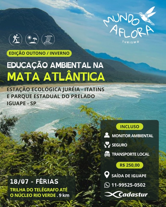 Noticia educacao-ambiental-na-mata-atlantica