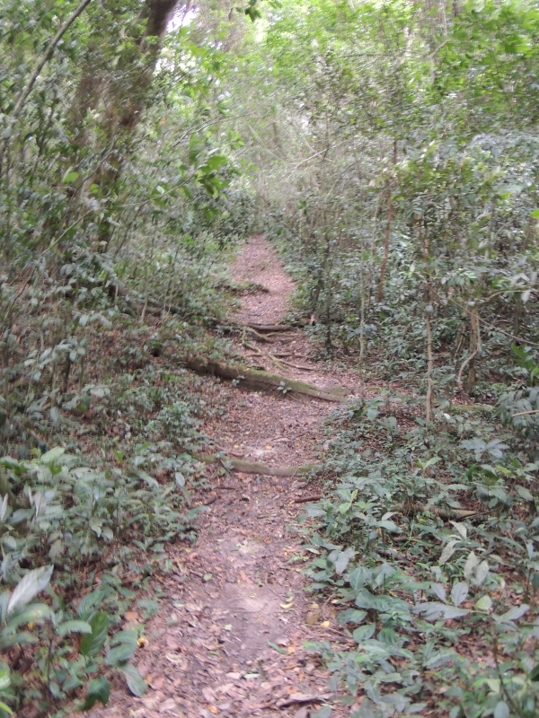 Turismo trilha-da-fonte-do-senhor